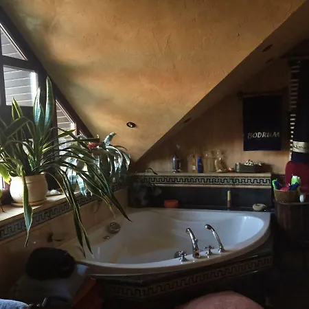 Willa Luxury House *